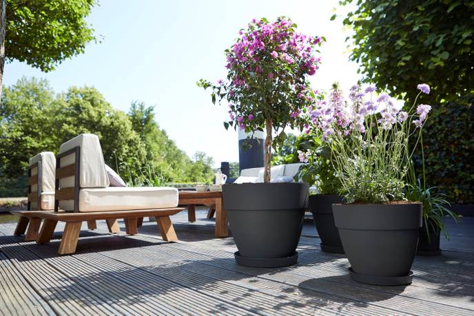 vibiacampana round 30cm anthracite